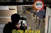 В Киеве горел приют для животных