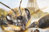 Ученые из Нидерландов научили пчел определять COVID-19 по запаху