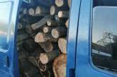 Полицейские Николаевской области выявили браконьера, который перевозил дрова в фургоне