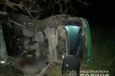 В Николаевской области Hyundai слетел с дороги и врезался в дерево: погиб пассажир