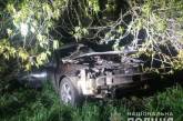 В Николаевской области «Рено» врезался в дерево: двое пострадавших