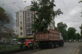 В Николаеве поймали нелегалов – они ремонтировали многострадальную улицу Потемкинскую   