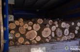 В Николаевской области браконьеры незаконно спилили акации – в их авто обнаружили 5 кубометров дров