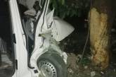 В Кривом Озере  Volkswagen врезался в дерево — водитель умер в больнице