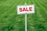 Рада одобрила продажу земли на онлайн-аукционах