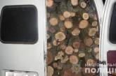 В Николаевской области браконьер перевозил 7 м³ незаконно спиленных деревьев