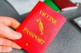 Украина и Евросоюз договорились о возможности взаимного признания COVID-паспортов