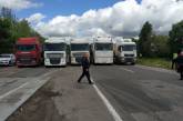 Водители большегрузных автомобилей заблокировали трассу государственного значения под Николаевом