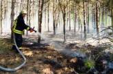 В Николаеве три часа спасатели и лесники тушили пожар в Балабановском лесу