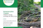 В Николаевской области незаконно вырубили 19 деревьев: ущерб составил более 40 тысяч