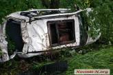 Под Новой Одессой BMW с несовершеннолетним водителем слетел в кювет — четверо пострадавших