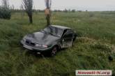 Под Николаевом столкнулись Audi и Daewoo - пострадала женщина