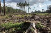Жителю Николаевской области грозит 7 лет тюрьмы за незаконную вырубку деревьев