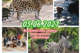 В николаевском зоопарке отмечают Всемирный день охраны окружающей среды
