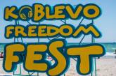 На мультифестивать Koblevo Freedom Fest потратили более 4 млн грн