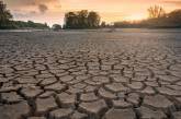 В Гидрометцентре заявили, что в этом году засухи в Украине не будет