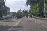 В Николаеве на проспекте Мира упало дерево. ФОТО