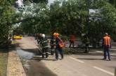 Непогода в Николаеве и области: спасатели трижды выезжали на помощь