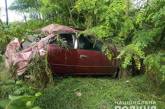 В Николаевской области Toyota врезалась в дерево: погибли водитель и пассажир