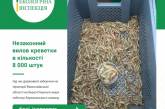 В Николаевской области выявили браконьера, выловившего 8000 особей креветки