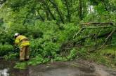 В Николаевской области спасатели помогли убрать с дорог рухнувшие деревья