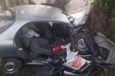 В Николаевской области «Деу» врезался в дерево: беременную пассажирку госпитализировали