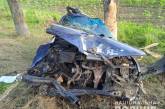 В Николаевской области Honda выехала с трассы и врезалась в дерево: водитель умер в больнице