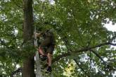 В харьковском парке спасатели сняли подростка с 6-метрового дерева