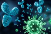 В Минздраве объяснили, почему тесты на антитела могут быть отрицательными после вакцинации против COVID-19