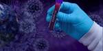 Теория о том, что пандемия коронавируса началась с утечки из Уханьского института вирусологии, снова привлекает внимание международного сообщества