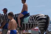 На курорте в Херсонской области лошадь перекрасили в зебру и катали на ней отдыхающих (видео)