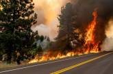 В Калифорнии вспыхнули пожары из-за жары: горят леса и дома