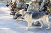 Впервые в параде к 30-летию Независимости Украины поучаствуют собаки пограничников (фото)