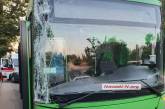 В Николаеве «зеленый» автобус врезался в дерево: пострадала пассажирка