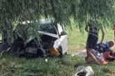 Под Луцком Ford врезался в дерево: погибли три человека, еще девять пострадали