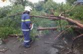 В Николаевской области непогода валила деревья — трассы оказались перекрыты
