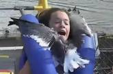 На аттракционе чайка врезалась в лицо девушке (видео)