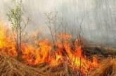 В Украине введен чрезвычайный уровень пожарной опасности
