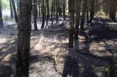 Под Николаевом горел Балабановский лес