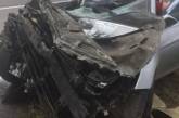 В Николаевской области «Хюндай» попал под грузовик: авто всмятку, пострадал водитель (видео)