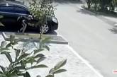 В Николаеве скручивают колпачки с колес авто: жители просят помочь найти одного из воров (видео)