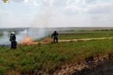 В Николаевской области масштабный пожар в поле: горит более 4 га