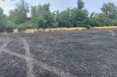 В Николаевской области сгорело 10 га пшеницы