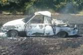 Пожар в поле в Николаевской области: сгорели 2 автомобиля и 20 га пшеницы