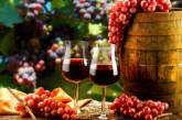 В ноябре в Николаевской области пройдет масштабный праздник вина