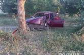 В Николаевской области Peugeot вылетел за пределы дороги и врезался в дерево – водитель погиб