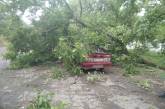 В Николаевской области буря валила деревья – пострадали два автомобиля