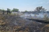 В Николаевской области не утихают пожары: за сутки выгорело более 36 га территории   