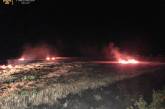 В Николаевской области за сутки выгорело более 48 га территорий: есть пострадавший