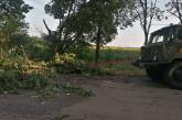 В Николаевской области спасатели убрали с дороги деревья, упавшие из-за непогоды
